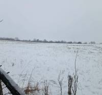 Snowy landscape near a family house in Felsőtelekes with scattered bushes and trees.