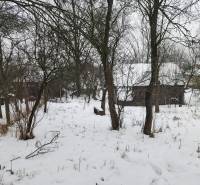 A snow-covered garden with a family house in Felsőtelekes, surrounded by trees.