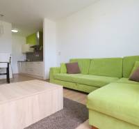 Living room in a two-room apartment with a wooden decor floor and a green sofa.