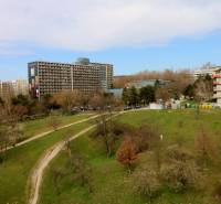 A view of Karlova Ves, Staré grunty with buildings surrounded by green areas and trees.