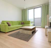 Living room in a two-room apartment with a sofa, coffee table, and wooden floor decor.