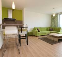 Living room in a 2-room apartment with a wooden decor floor and a green sofa.