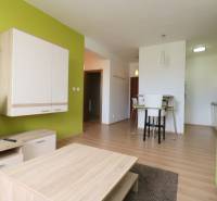 Interior of a 2-room apartment with furniture, a green wall, and a floor with a wooden decor.