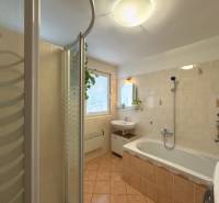 A bathroom in a family house with a bathtub, a shower, and a plant on the windowsill.