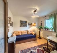 A room in a family house with a sofa, a carpet, paintings on the walls, plants by the window.