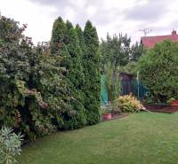 A garden at a family house on Hrabová Street in Hamuliakovo with dense greenery and a lawn.