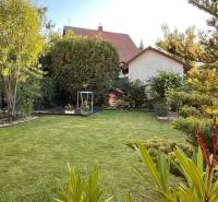The garden at the family house on Hrabová Street in Hamuliakovo, with a well-maintained lawn and trees.