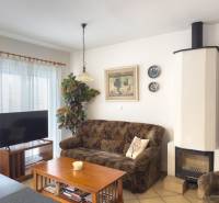 Living room with a sofa, fireplace, television, and houseplant in a family house.