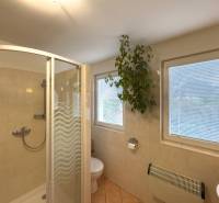 A bathroom in a family house with a glass shower enclosure and a plant by the window.