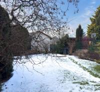 A snow-covered garden of a family house on Hrabova Street in Hamuliakovo.