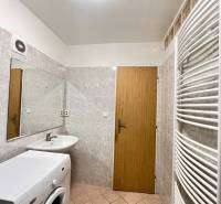 Bathroom with a washing machine, sink, mirror, and ladder radiator in a studio apartment.