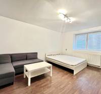 1-bedroom apartment with wood-patterned flooring, a sofa, and a bed, bright interior.