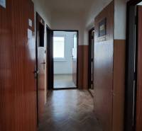 A hallway with doors in a family house, illuminated by natural light.