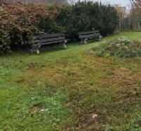 Garden with benches and greenery at a family house in Kalná nad Hronom.