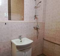 A bathroom in a family house with a white sink and a shower corner.