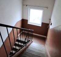 A staircase with brown and white walls and a window in a family house.
