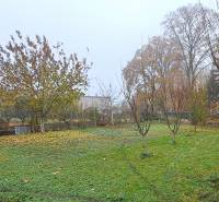 Greenery and trees surrounding the garden of a family house in Kalná nad Hronom in autumn.