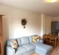 Living room in a 3-room apartment with a wooden decor floor and a gray sofa.