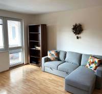 3-room apartment with wooden decor flooring, gray sofa, and a bookshelf.