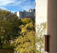 The view from the window on Palkovičova Street in Bratislava - Ružinov, surrounded by greenery and buildings.