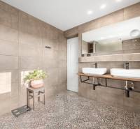 A bathroom in a family house with two sinks, a large mirror, and a plant on the table.