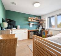 A room in a family house with a desk, a green wall, a television, and a wooden-patterned floor.