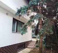 A family house on Fibichova Street in Bratislava - Ružinov with stairs and a tree.
