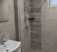 A shower corner in a family house with a wooden decor floor and a sink.