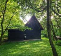 Sale Cottage, Cottage, Krupina, Slovakia