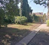 The garden of the family house on SNP in Šahy with trees and a paved walkway.