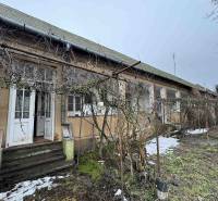 A family house on SNP Street in Šahy with a withered plant in front of the entrance.