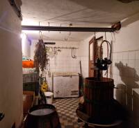 The basement of a family house with a wine press and hanging herbs. Tiled walls, checkered floor.