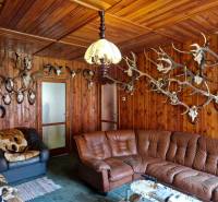 Family house with wood-decor flooring, leather sofa, walls decorated with antlers.