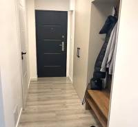 Entrance hallway in a 3-room apartment with a wooden decor floor and storage space.