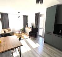 Living room with kitchen in a 3-room apartment with a wooden decor floor.
