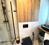 Bathroom with toilet in a 3-room apartment, shower corner, black toilet, washing machine.