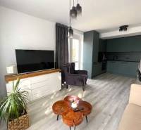 Living room with a TV and kitchen in a 3-room apartment, floor with wooden decor.
