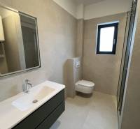 A bathroom in a holiday apartment with a stylish sink and a shower corner.