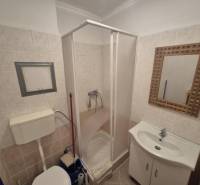 Bathroom in a 2-room apartment with a sink, mirror, shower corner, and toilet.