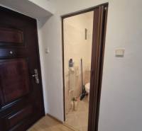 Interior of a 2-room apartment with a wooden decor floor and a view into the bathroom.