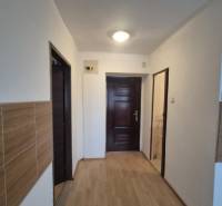 Entrance hall in a 2-room apartment with wood-patterned flooring and a light above the door.