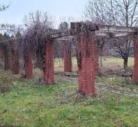 Garden at a family house on Levická Street in Vráble with a brick pergola and plants.