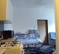 A kitchen in a 2-room apartment with mosaic tiles and a zebra-patterned sofa.