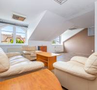 A bright living room in a family house with leather sofas and a wooden decor floor.
