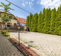 The family house on Bencúrova Street, Bratislava - Ružinov, has a paved courtyard with thuja trees.