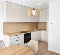 A kitchen in a studio apartment with a wood-patterned floor and a dining table.
