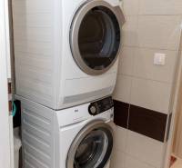 In a 1-room apartment, a washing machine and dryer are placed in a column.