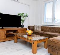 Living room of a one-room apartment with a sofa, table, television, plants, and a wooden decor floor.