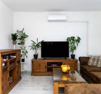 Living room in a one-room apartment with wooden furniture, a sofa, and greenery in pots.
