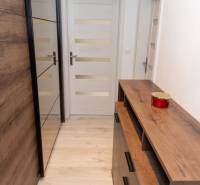 A hallway in a one-room apartment with a wooden decor floor and storage space.
